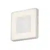 Adjustable Colour Square Outdoor Ceiling Light