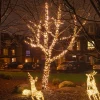 Low Voltage Connectable Outdoor Christmas Lights White Cable Warm White