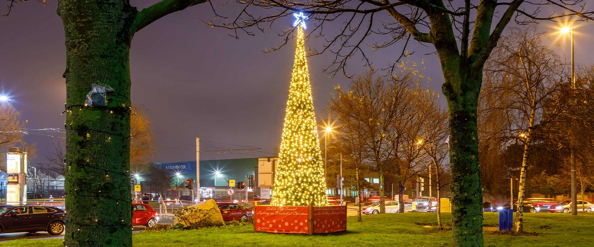 Christmas Cone Trees