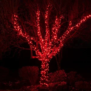 Connectable Outdoor Christmas Lights Red