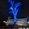 Low Voltage Connectable Outdoor Christmas Lights Blue