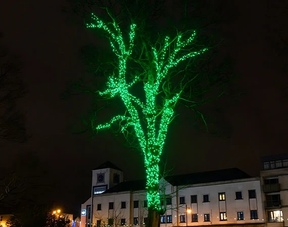 Low Voltage Connectable Outdoor Christmas Lights Red, Green and Blue