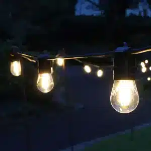 15 LED Connectable Clear Bulbs Festoon Lights